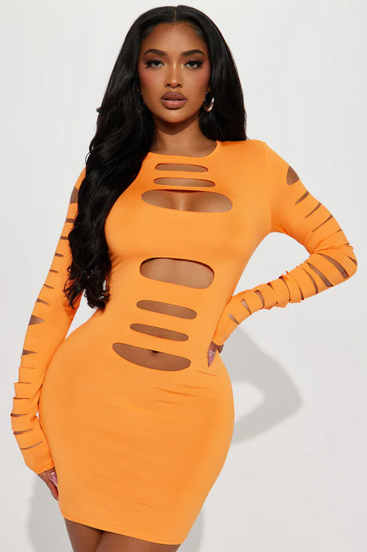 Ameli Mini Dress