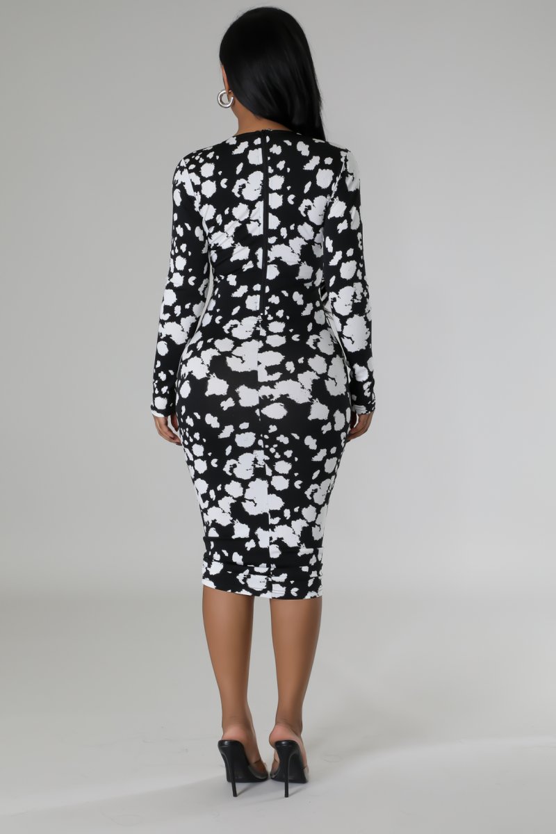 Eryna Dress